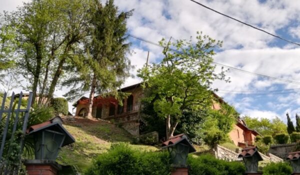 romitaggio profilo